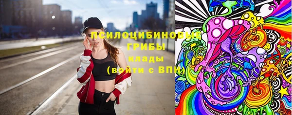 гидра Алексеевка