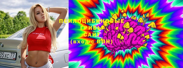 прущая мука Армянск