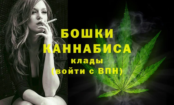 apvp Арсеньев