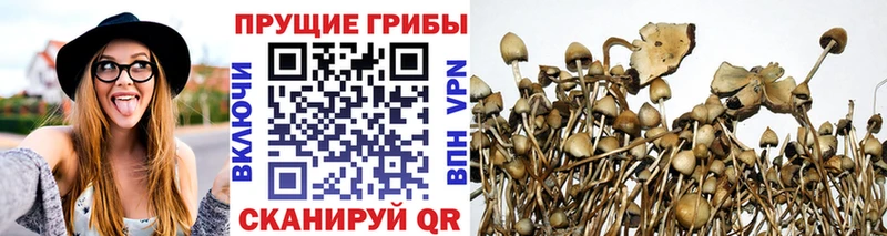 как найти   OMG сайт  Галлюциногенные грибы ЛСД  Рыльск 